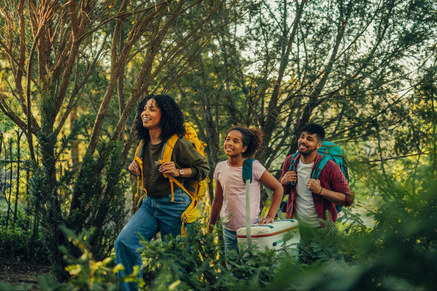 Environmentally Friendly Camping: Composting Toilets as a Sustainable Solution for Nature